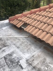 Roof Repair or Roof Replacement - Dampcon