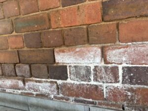 Efflorescence, symptom of Rising Damp, Lateral Damp and/or Penetrating Damp - Dampcon